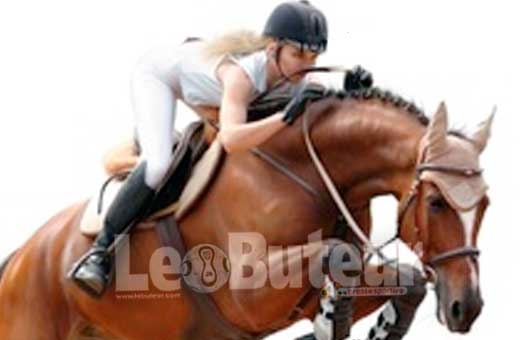 Rebouh Haddad qualifié au championnat du monde d'équitation