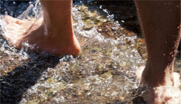 Chlef/Lac Ouled Hadou : Un hôpital en plein air !