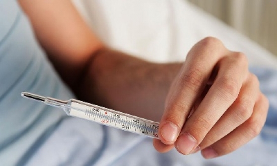 الوادي : 70 حالة لمرض الحمى المالطية خلال السداسي الأول من 2017