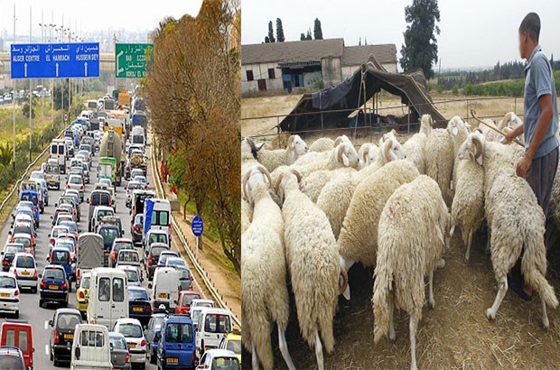 Les rendez-vous de la rentrée sociale 2017