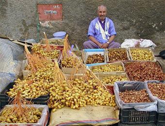 مساع لتأسيس سياحة زراعية في الجزائر                                    نمط سيكفل الارتقاء بأنشطة بقيت مهمشة