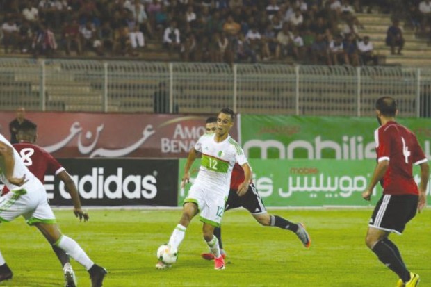 Les Verts veulent renverser la tendance