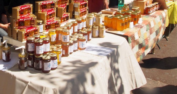 Fête du miel et de l'abeille à Tizi Ouzou : Création d'une coopérative apicole pour le village d'Ahrik