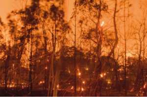 Les incendies ont ravagé 5 750 hectares de couvert végétal