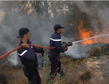 32.000 hectares anéantis