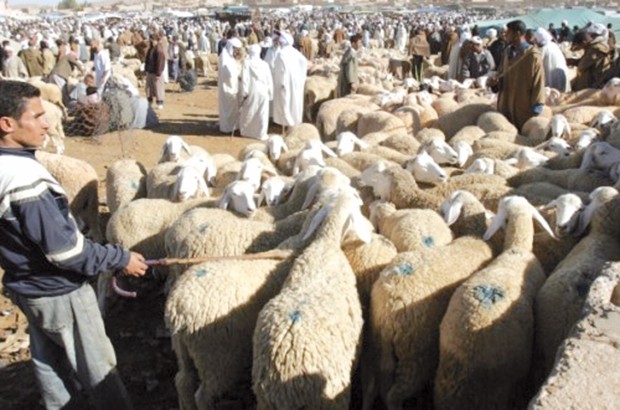 Sensibilisation contre le kyste hydatique à El-Anasser