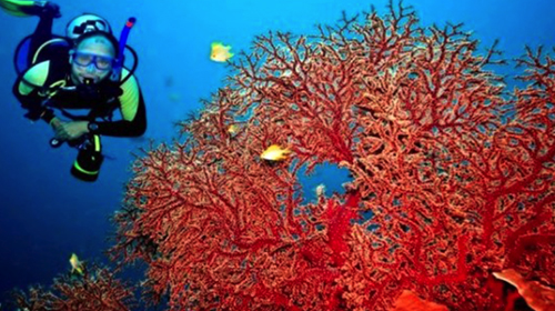 Les préparatifs organisationnels et juridiques entamés