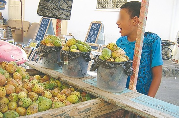 Ils vendent des figues pour faire face à la rentrée scolaire
