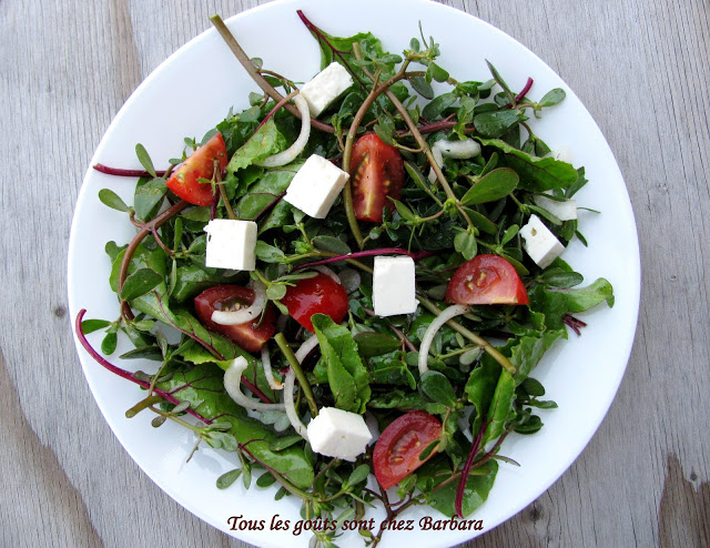 Salade de pourpier