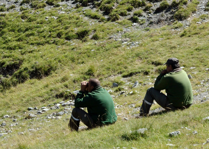 Près de 600 emplois créés dans le secteur des forêts                                    EL-Bayadh