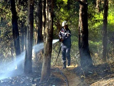 Plan anti-incendie : L'installation des tours de contrôle démontre son efficacité
