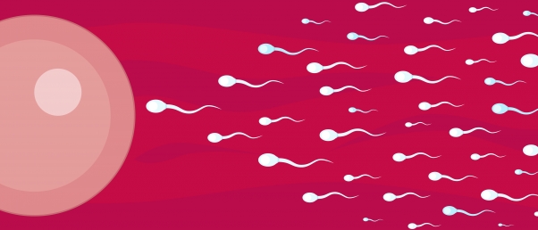 Le spermogramme : Généralités