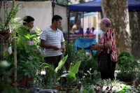 Dites-le avec des fleurs !                                    Le marché des plantes fait recette