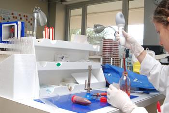 6000 chercheurs recrutés d'ici à 2014                                    PLUS DE 100 BREVETS D'INVENTION DELIVRES EN 2012