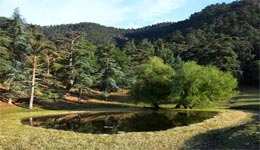 Tissemsilt : Bin El-Kifan, ce lieu de villégiature