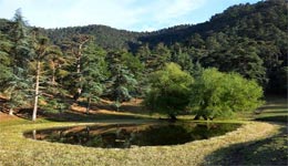 Tissemsilt : Bin El-Kifan, ce lieu de villégiature