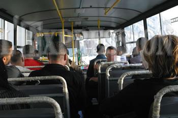 Un autobus nommé désir