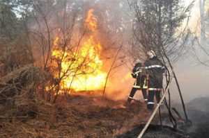 حرائق مهولة بغابات خنشلة وإعلان حالة الاستنفار