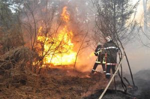 حرائق مهولة بغابات خنشلة وإعلان حالة الاستنفار