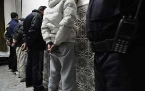 الأمن يفكك شبكة سطو على المواشي ويسترجع 42 رأسا مسروقة في تلمسان