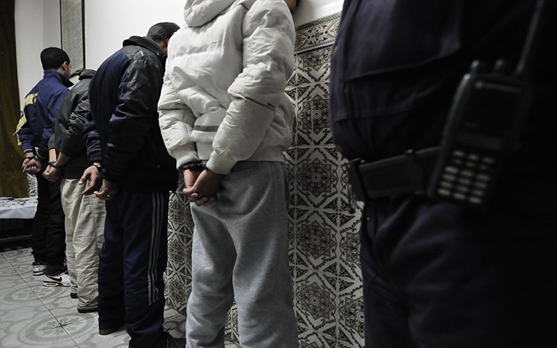 الأمن يفكك شبكة سطو على المواشي ويسترجع 42 رأسا مسروقة في تلمسان