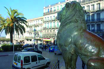 Démantèlement de 613 étals et 207 kiosques                                    Oran, commerce informel