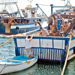 «التعويضات ستمس الصيادين الذين يحترمون فترة الراحة البيولوجية»                                    فروخي يستمع لإنشغالات مهنيي القطاع بعين تموشنت