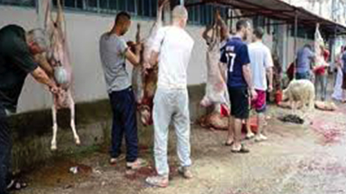 Campagne de sensibilisation sur les dangers des kystes hydatiques