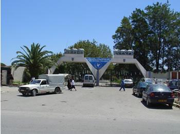 Ces joyaux délaissés!