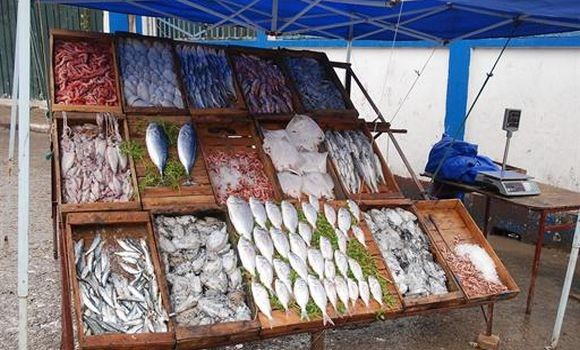 La baisse des prix du poisson sur le marché due à la surexploitation des ressources halieutiques