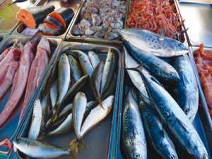 À cause du non-respect des lois de la part des pêcheurs : Baisse des prix du poisson au profit du consommateur