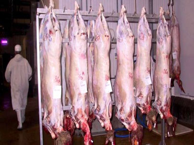 Pour les deux jours de l'Aïd al-Adha : Plus de 150 vétérinaires mobilisés à Alger