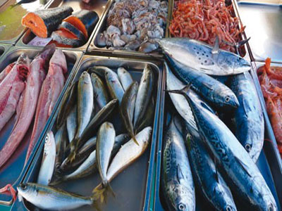 À cause du non-respect des lois de la part des pêcheurs : Baisse des prix du poisson au profit du consommateur
