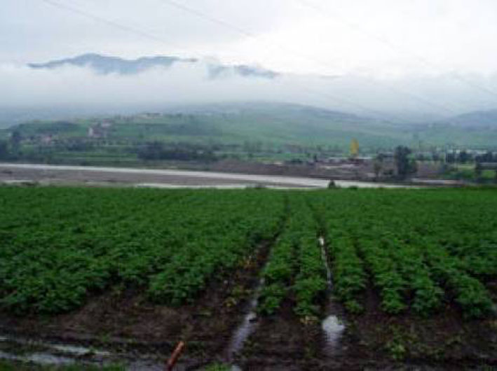 Batna : Mise en exploitation du périmètre irrigué de Chemora