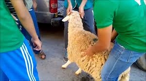 مبادرات خيرية مكثفة للجمعيات عشية العيد بالمدية