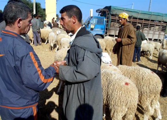 التشكيل الأمني بالعاصمة: التركيز على حماية الموالين و المواطنين من السرقة و محاربة صرف العملة المزورة و المراقبة البيطرية