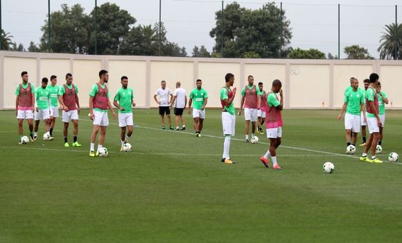 Mondial 2018 (qualification/3e j)/Zambie-Algérie: les Verts dos au mur