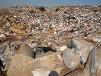 Elle a le nez et les pieds dans les ordures                                    Souk-Ahras compte 26 décharges sauvages