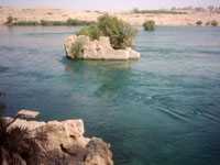 بومرداس/ قطاع الصيد البحري يستثمر في الأحواض المائية المخصصة للسقي