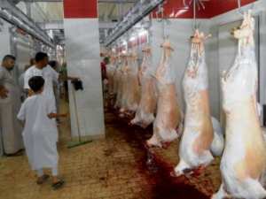 L'abattoir industriel assailli par des centaines de clients
