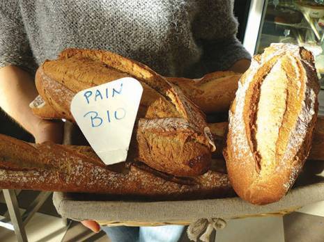 Tendance. Aïn Témouchent se met au bio du pain sur la planche de salut