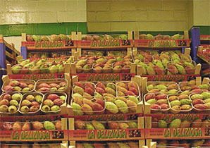 50.000 hectares lui sont dédiés: La figue de Barbarie veut sa place