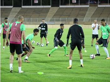 Les Verts auront-ils un sursaut d'orgueil'