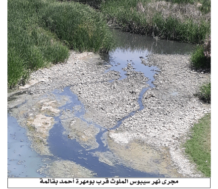 بعد جفاف الأودية الرئيسية بقالمة