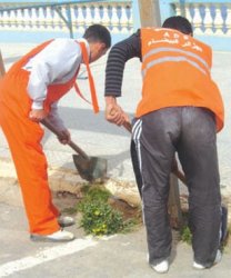 رفع التجميد عن عقود مشاريع الجزائر البيضاء