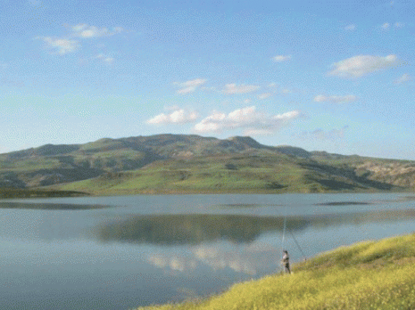 La crise de l'eau s'installe à Souk Ahras