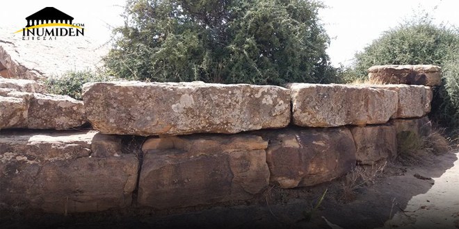 المدافن الأمازيغية القديمة : V-القبور القلاعية أو ” الشوشات” Chouchet