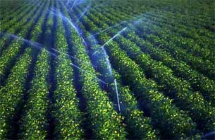 De nouveaux ouvrages pour renforcer l'hydraulique agricole                                    Batna, Irrigation