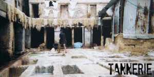 Boumerdès - La toison, il faut y penser !