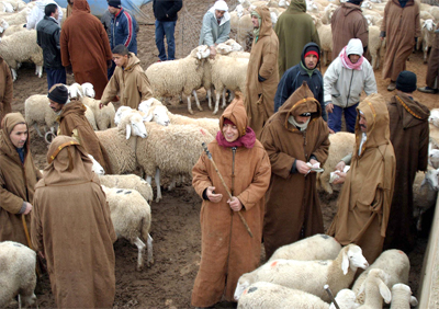 Les maquignons au col blanc arnaquent les citoyens